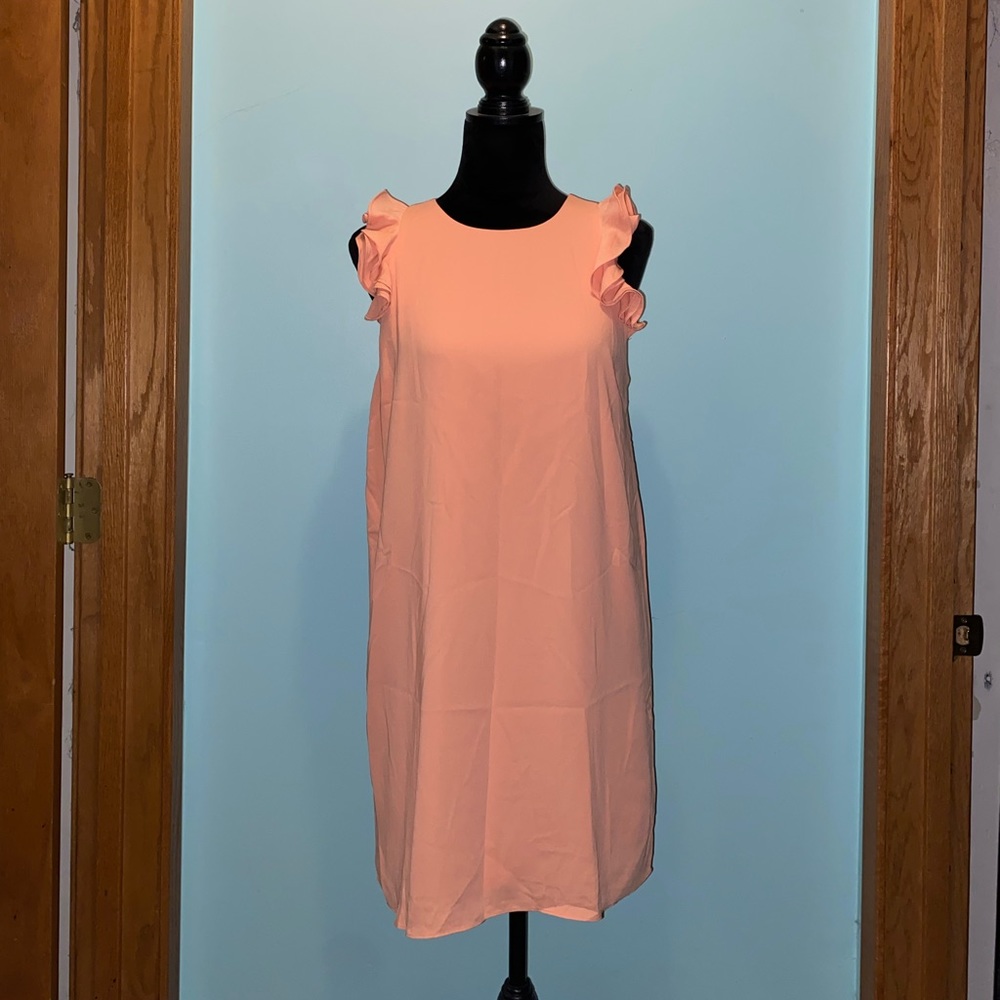 Naked Zebra, peach shift dress size M, NWT